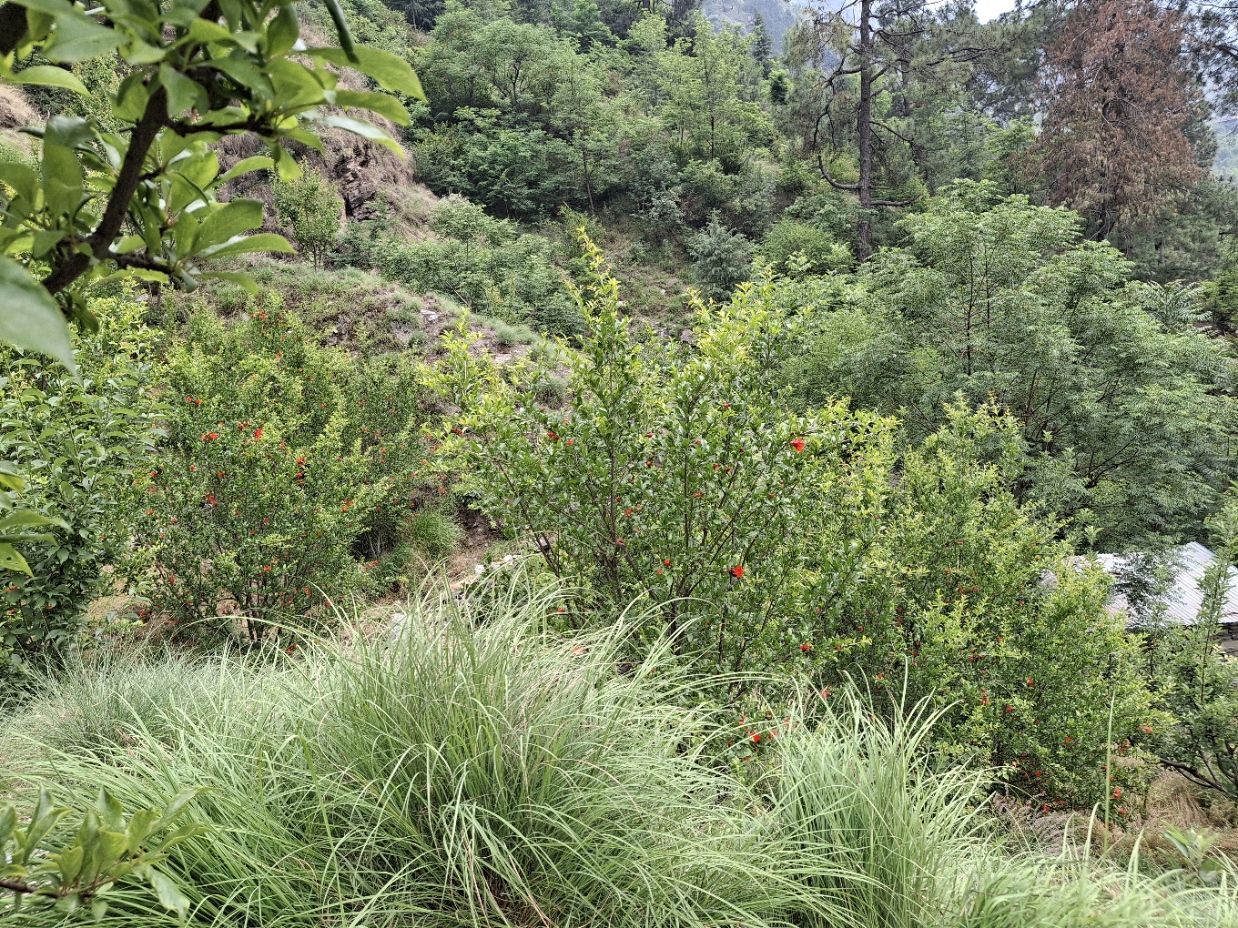 Smart Farming Hero Image