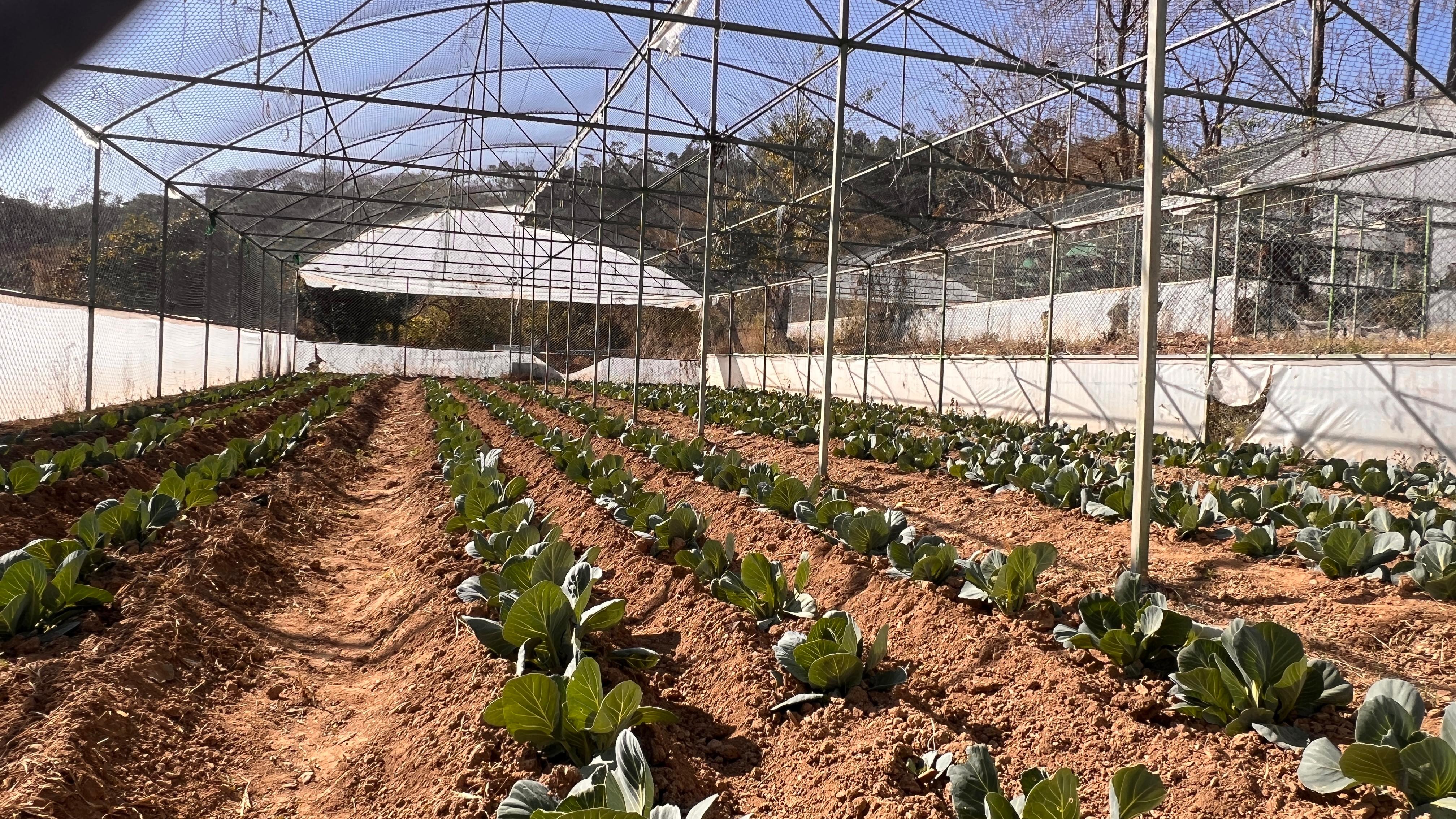 Green automation examples